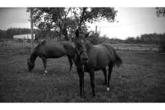 20150906_142355-EFFECTS