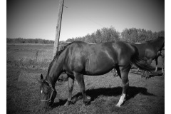 20150927_142749-EFFECTS