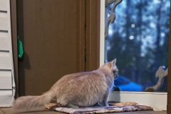 IMG_20240624_172106