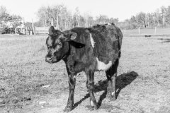 ProPhotos223-172