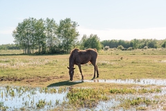 ProPhotos223-198