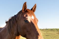 ProPhotos223-53