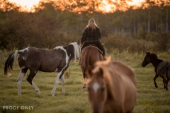 Richlu-2022_Ranch-32676