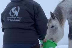 received_1153797215264526