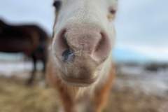 received_470698378294792