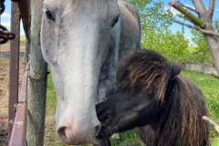 received_5328061637246733