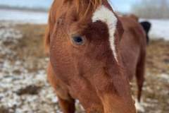 received_629608868847286