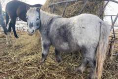 received_653429443151508