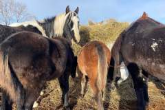 received_852528436074203