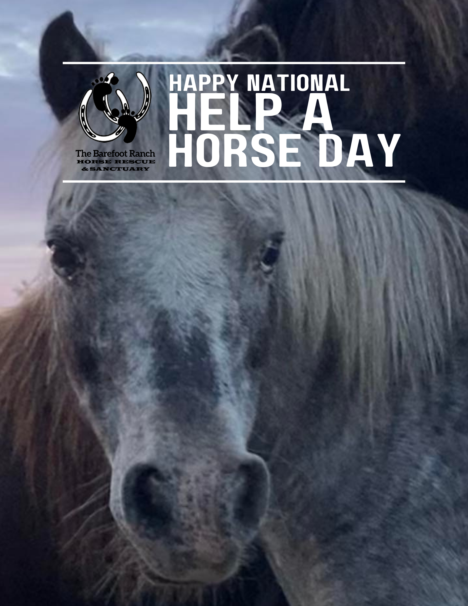 National Help a Horse Day