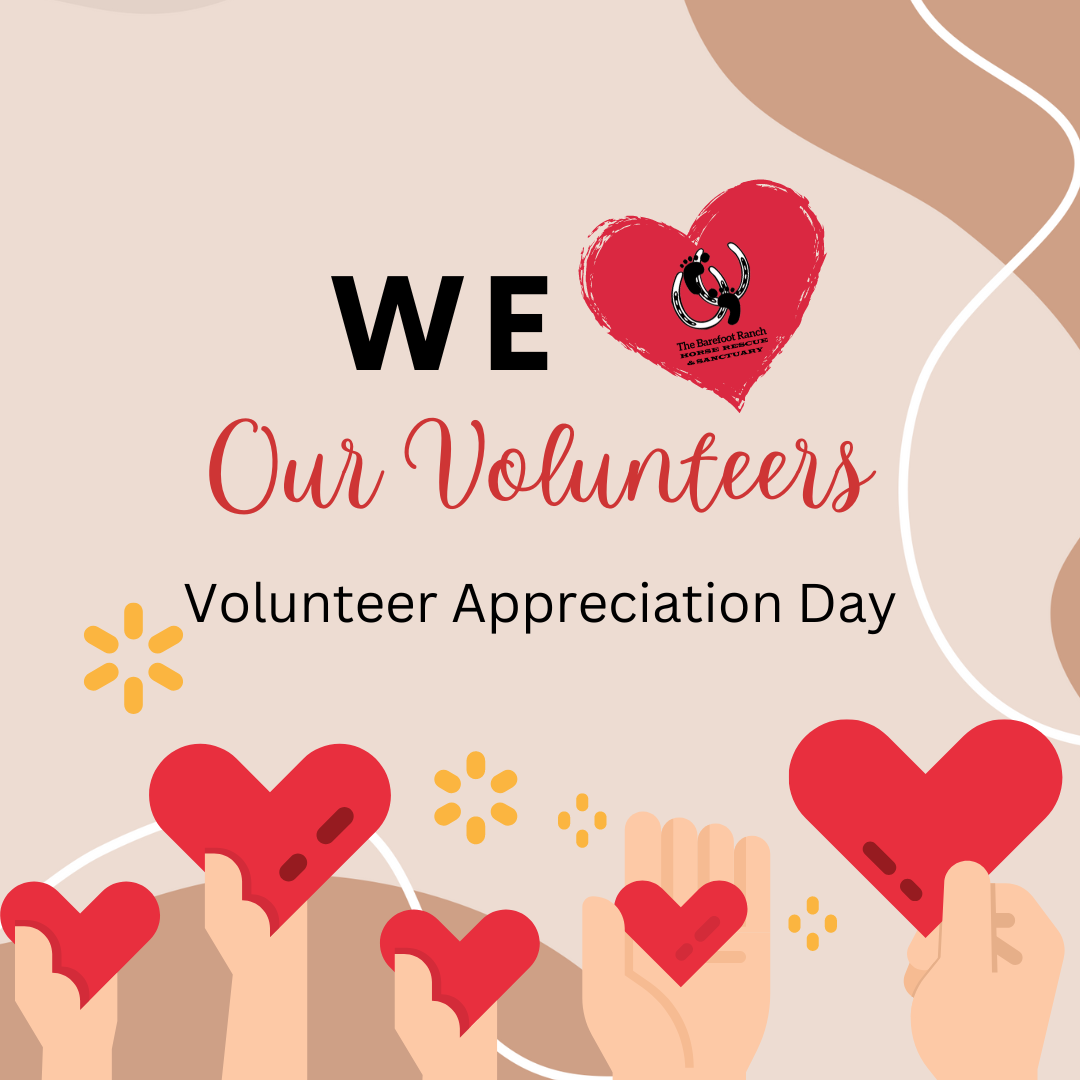 Volunteer Appreciation Day