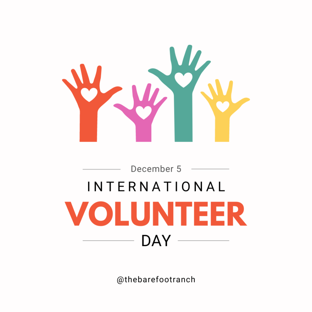 International Volunteer Day