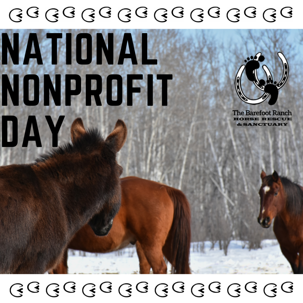 National Nonprofit Day